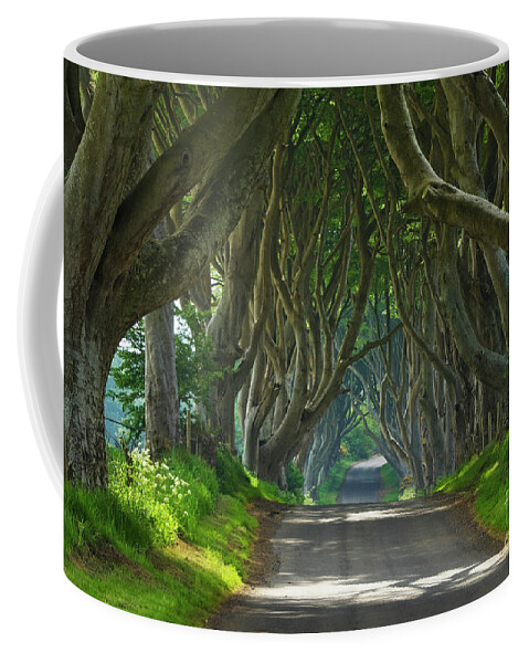 Dark Hedges Coffee Mug featuring the photograph Dark Hedges, County Antrim, Northern Ireland by Neale And Judith Clark