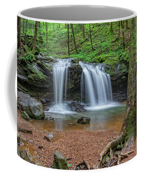 Frozen Head State Park Coffee Mug featuring the photograph Debord Falls At Frozen Head State Park #1 by Jim Vallee