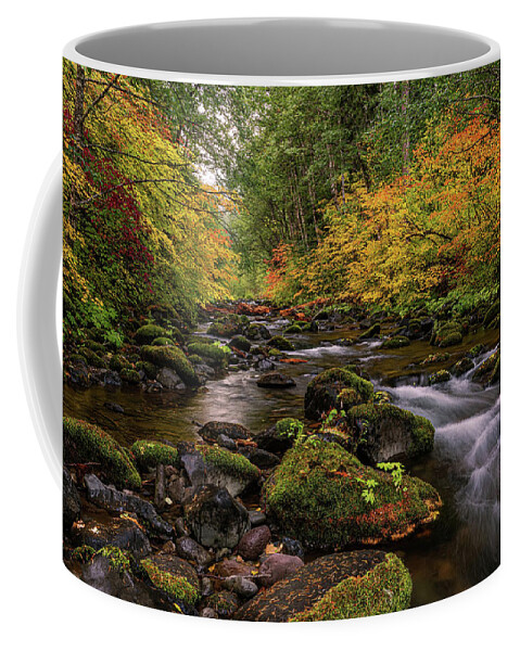  Santiam River Coffee Mug featuring the photograph Down by the creek #1 by Ulrich Burkhalter