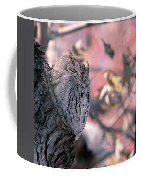 Owl Coffee Mug featuring the photograph Eastern Screech Owl in Fall #1 #1 by Mindy Musick King