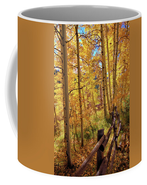 Colorado Coffee Mug featuring the photograph Fall colors by Bob Falcone