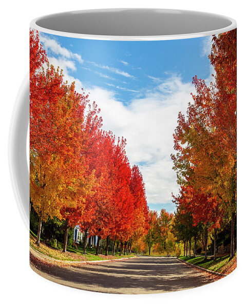 Fall Coffee Mug featuring the photograph Fall Colors #1 by Dart Humeston