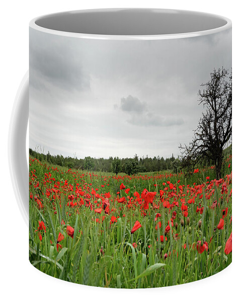 Poppy Anemone Coffee Mug featuring the photograph Field full of red beautiful poppy anemone flowers and a lonely dry tree. Spring time, spring landscape Cyprus. by Michalakis Ppalis