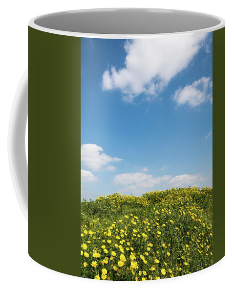 Flowers Coffee Mug featuring the photograph Field with yellow marguerite daisy blooming flowers against and blue cloudy sky. Spring landscape nature background by Michalakis Ppalis