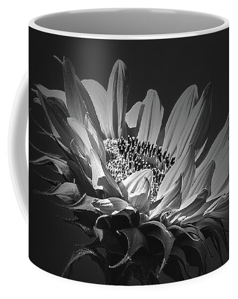 Sunflower Coffee Mug featuring the photograph First Light #1 by Bob Orsillo