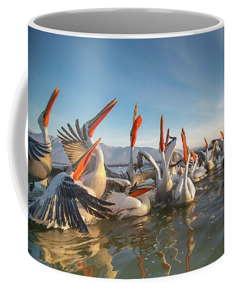 Animal Coffee Mug featuring the photograph Fish in the sky #1 by Jivko Nakev