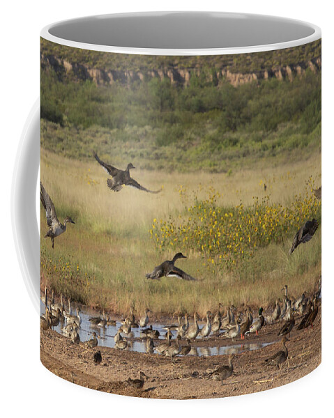 New Mexico Coffee Mug featuring the photograph Flight #1 by Robert Harris