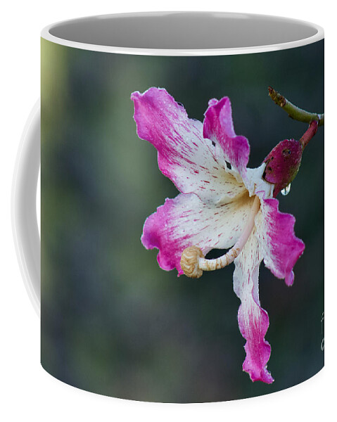 Photography Coffee Mug featuring the photograph Floss-silk Blossom #2 by Sean Griffin