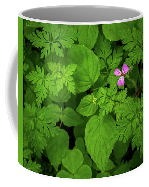Pink Coffee Mug featuring the photograph Flower and ferns by Robert Miller