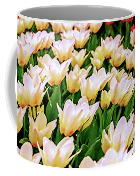 Flower Coffee Mug featuring the photograph Flower Collection #1 by Yvonne Padmos