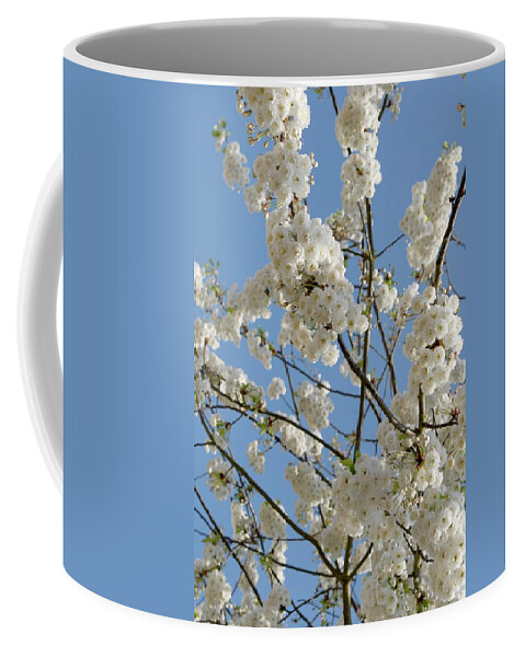 Flower Coffee Mug featuring the photograph Flowering tree #1 by Severija Kirilovaite
