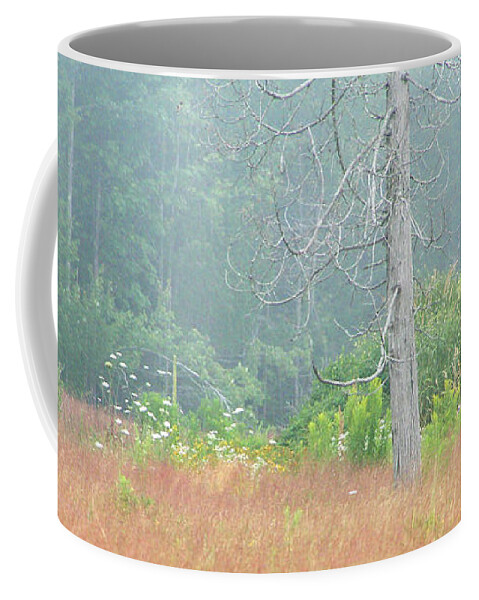 Nature Coffee Mug featuring the photograph Foggy Morning #1 by Mariarosa Rockefeller