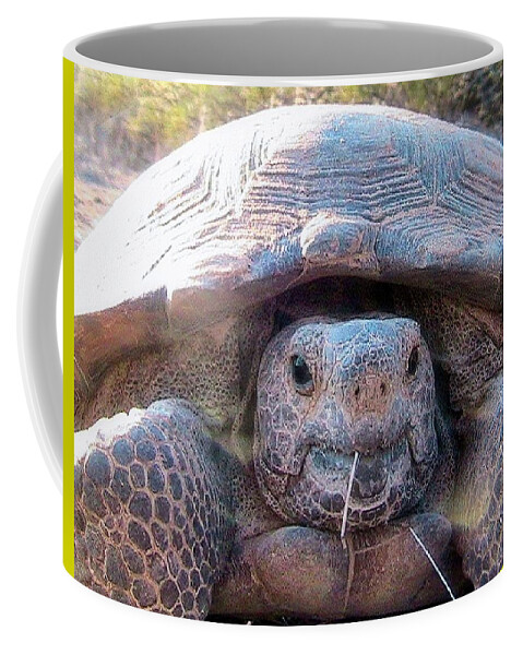Desert Tortoise Coffee Mug featuring the photograph Gloria - The Wild Desert Tortoise #1 by Judy Kennedy