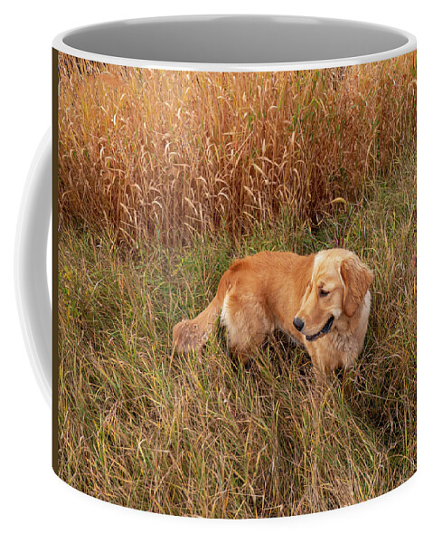 Golden Coffee Mug featuring the photograph Golden Retriever In Tall Grass by Karen Rispin