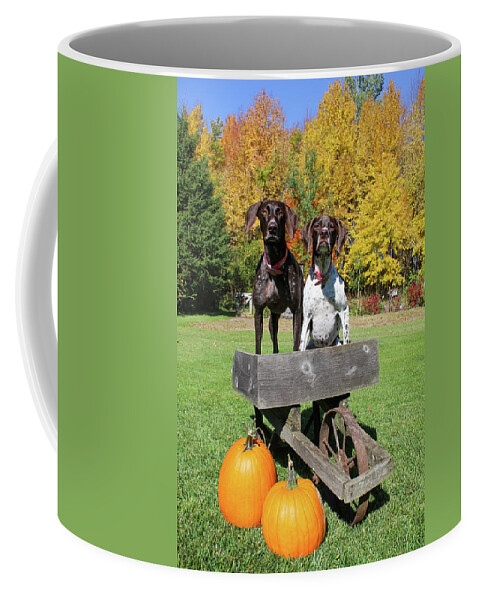 Gsp Coffee Mug featuring the photograph GSP Fall Portrait by Brook Burling
