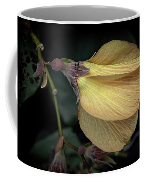 Hawaiian Hau Coffee Mug featuring the photograph Hawaiian Hau Flower #1 by Heidi Fickinger