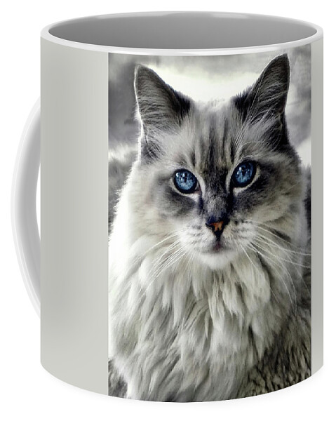 Nature Coffee Mug featuring the photograph Heaven's Meow #1 by Darlene Kwiatkowski