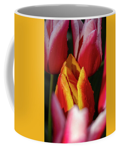 Poppy Coffee Mug featuring the photograph Hidden Beauty #2 by Sue Cullumber