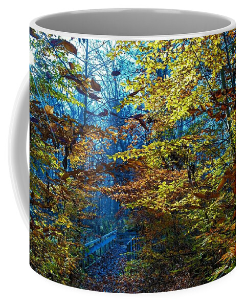  Coffee Mug featuring the photograph Hidden Bridge #1 by Brad Nellis