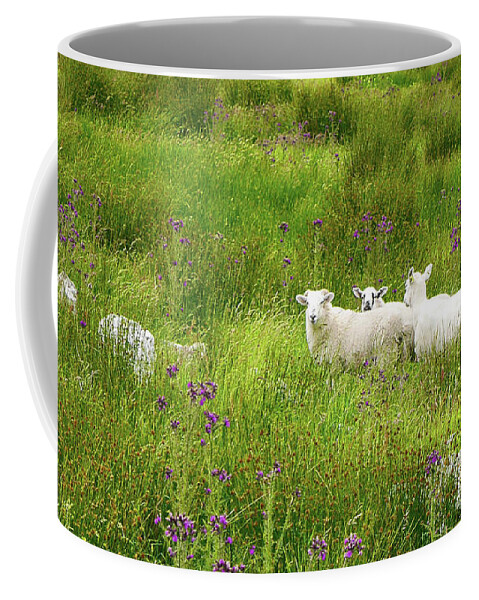 Sheep Coffee Mug featuring the photograph Hiding in the Grass #1 by Lexa Harpell