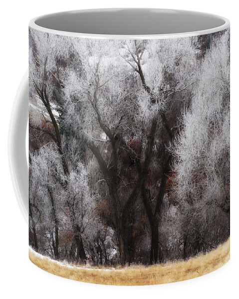 Co Coffee Mug featuring the photograph Hoar Frost #2 by Doug Wittrock
