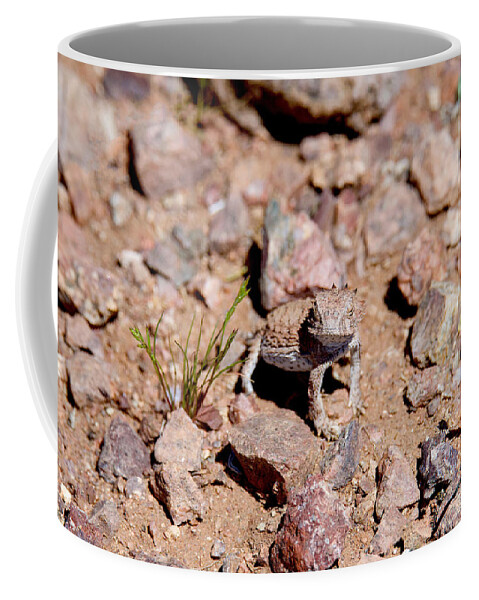 Horny Toad Coffee Mug featuring the digital art Horny Toad #1 by Tammy Keyes