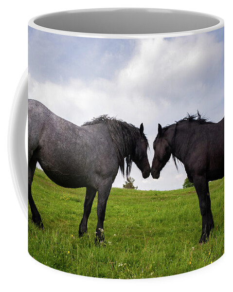 Horses Coffee Mug featuring the photograph Horses nuzzling on slivnica mountain #1 by Ian Middleton