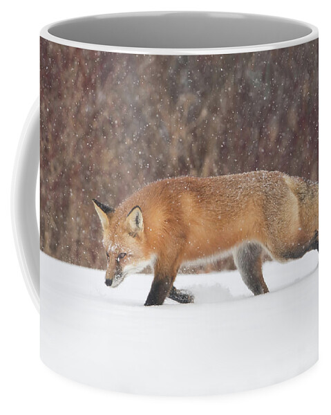 Fox Coffee Mug featuring the photograph Hunting In the Snow #1 by CR Courson