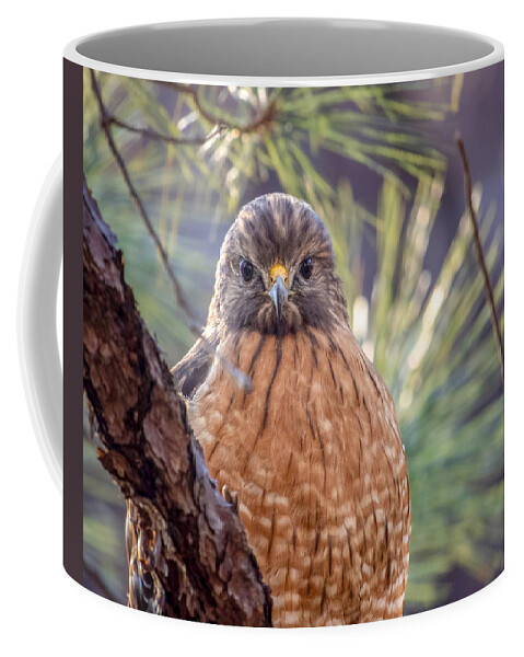 Bird Coffee Mug featuring the photograph I See You #1 by Rick Nelson