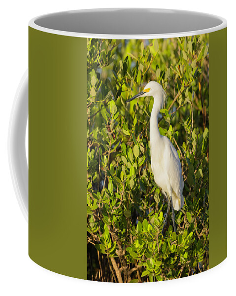 I5g_3498 Coffee Mug featuring the photograph Images from the Dawn Patrol on Blackpoint Drive #1 by Gordon Elwell