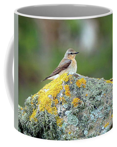  Coffee Mug featuring the photograph Ireland 21 #1 by Eric Pengelly