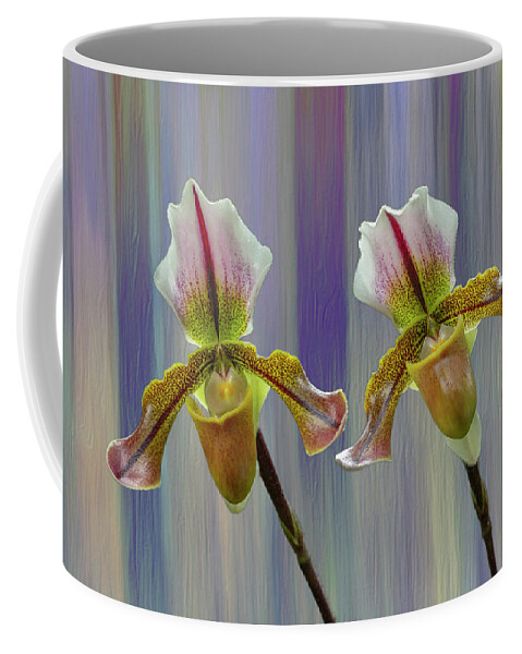 Lady Slipper Orchid Coffee Mug featuring the photograph Lady Slipper Orchid by Cate Franklyn