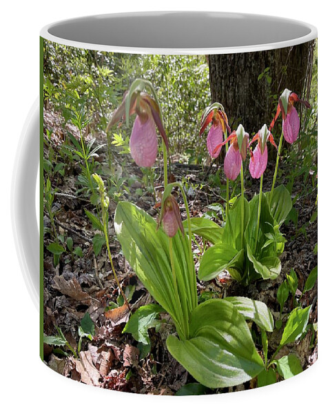  Coffee Mug featuring the photograph Lady slipper orchid #1 by Meta Gatschenberger