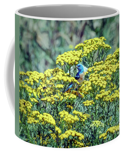 Kmaphoto Coffee Mug featuring the photograph Lazuli Bunting #2 by Kristine Anderson