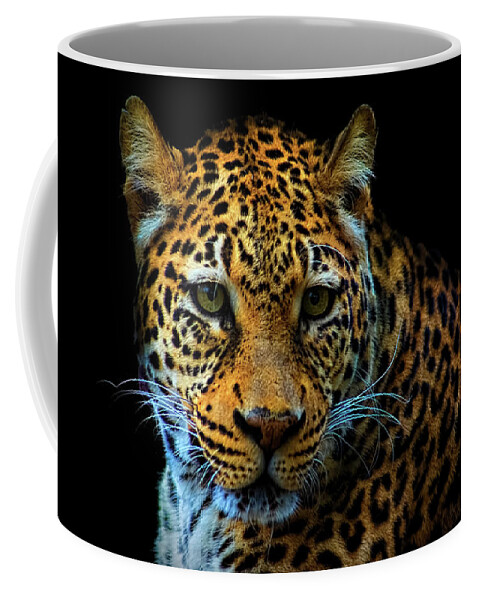 Animal Coffee Mug featuring the photograph Leopard On Black by Ron Grafe