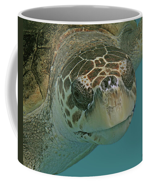 Loggerhead Turtle Coffee Mug featuring the digital art LOGGERHEAD SEA TURTLE cps #1 by Larry Linton