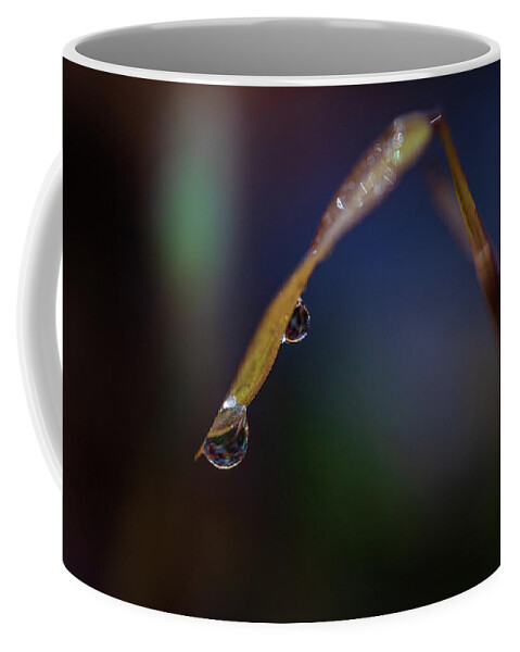 Fall Coffee Mug featuring the photograph Macro Photography - Water Drops on Grass by Amelia Pearn