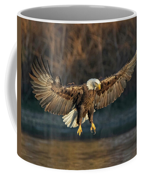 Bald Eagle Coffee Mug featuring the photograph Majestic Bald Eagle #1 by Beth Sargent