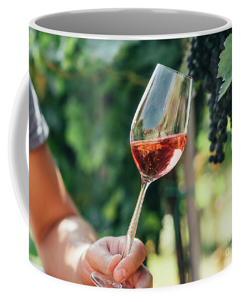 Wine Coffee Mug featuring the photograph Man holding glass of red wine in vineyard field. Wine tasting in by Jelena Jovanovic
