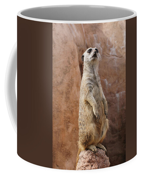 Alert Coffee Mug featuring the photograph Meerkat sentry standing guard duty perched on a rock by Tom Potter