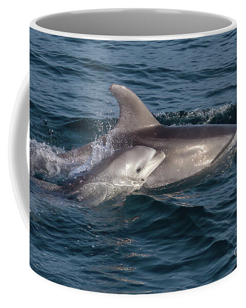 Bottlenose Dolphin Coffee Mug featuring the photograph Mom and Baby Bottlenose Dolphin #1 by Loriannah Hespe