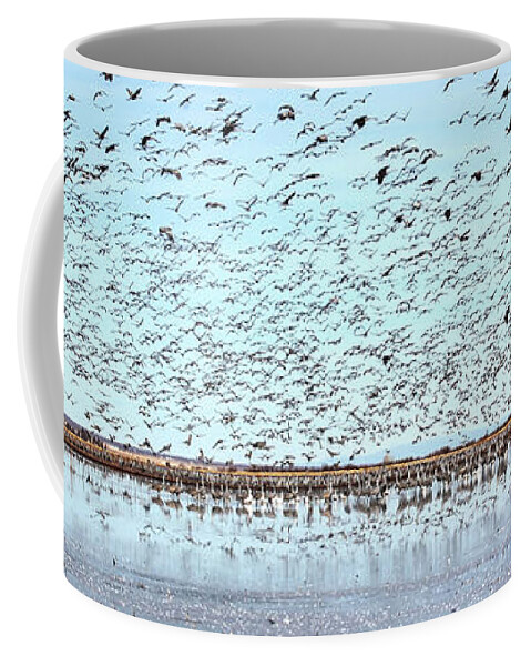 Wildlife Coffee Mug featuring the photograph Morning Flight by Robert Harris