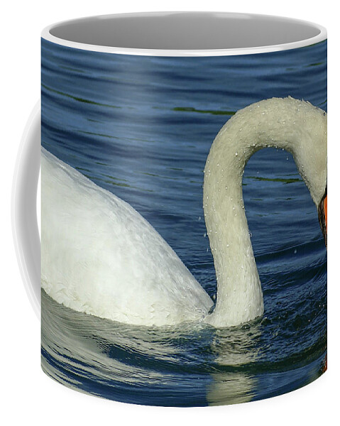 Bird Coffee Mug featuring the photograph Mute Swan #2 by Deb Beausoleil