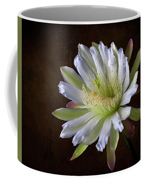 Night Blooming Cereus Coffee Mug featuring the photograph Night Blooming Cereus #1 by Endre Balogh