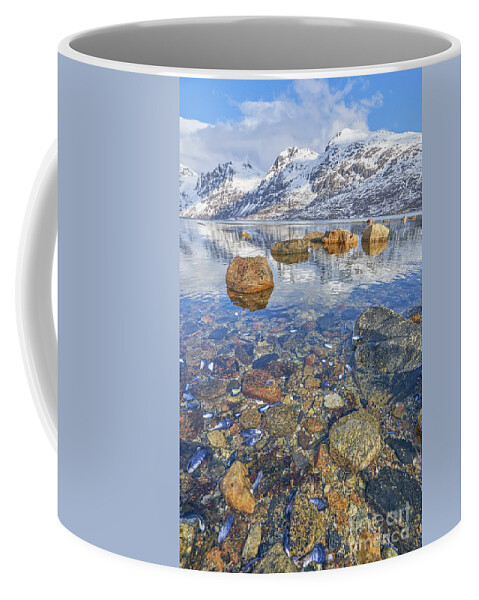 Reflection Coffee Mug featuring the photograph Norway #1 by Brian Kamprath