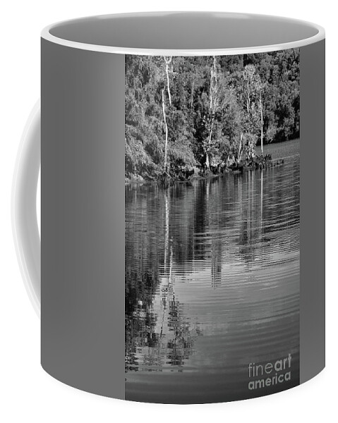 Clinch River Coffee Mug featuring the photograph On The Road 11 by Phil Perkins