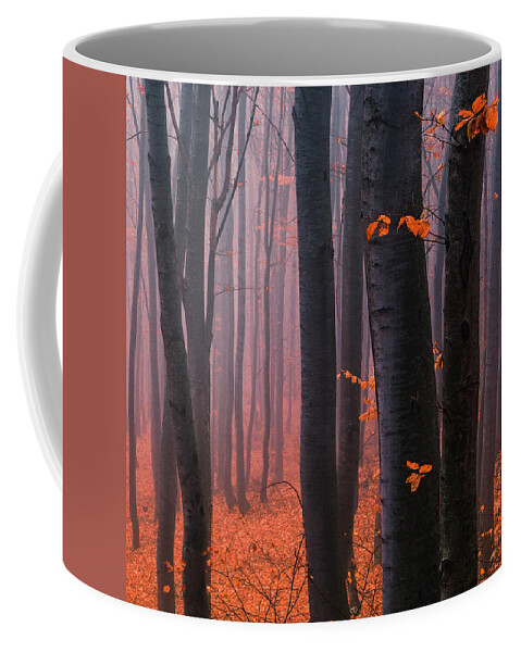 Mountain Coffee Mug featuring the photograph Orange Wood by Evgeni Dinev