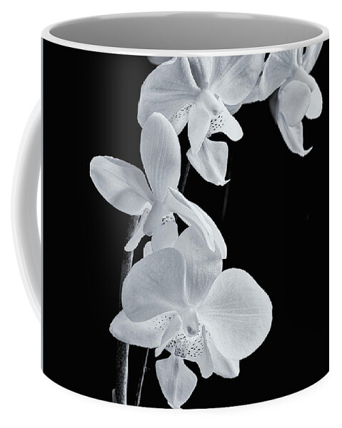 Orchids Coffee Mug featuring the photograph Orchids Black and White #1 by Jeff Townsend