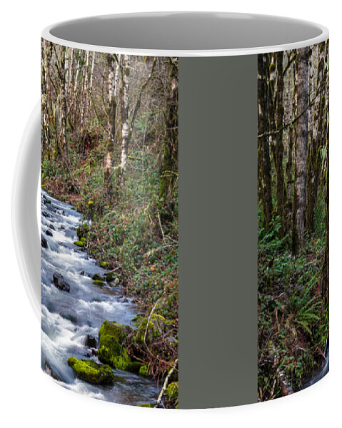 Oregon Mountain Stream Coffee Mug featuring the photograph Oregon Mountain Stream and Alder Trees #1 by Catherine Avilez