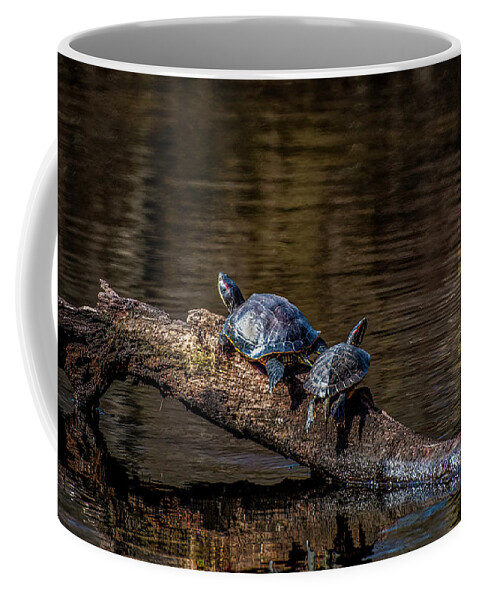 Amphibian Coffee Mug featuring the photograph Out On A Limb #1 by Cathy Kovarik